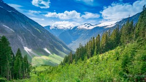 The view behind me while hiking up