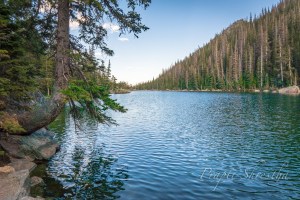 Serene view of Dream Lake with trees outlining the lake at Rocky Mountain National Park in Colorado