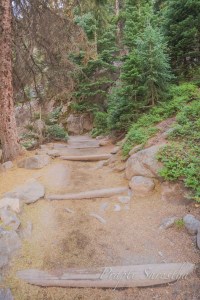 Paved Bear Lake hiking trail at Rocky Mountain National Park with green trees