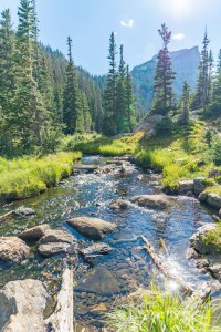 Tyndall Creek at Rocky Mountain National Park Colorado, trees and mountain in the background