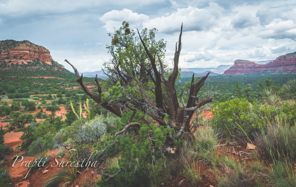 A view of Sedona from Bell Rock Hiking Trail