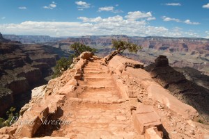 A view as I approached the Cedar Ridge Point