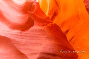 Roaring Bear at the Lower Antelope Canyon, Page AZ