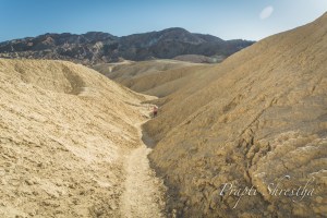 The variety of terrain